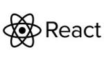ReactJS Development